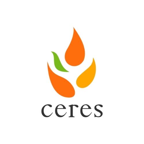 株式会社セレス