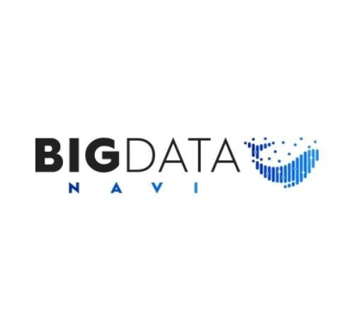 BIGDATA NAVI 口コミ・評判